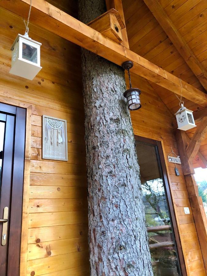 Domeniul Horj Casa Din Deal Мойсей Экстерьер фото