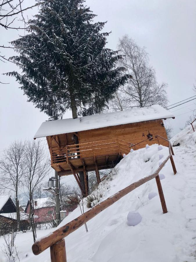 Domeniul Horj Casa Din Deal Мойсей Экстерьер фото