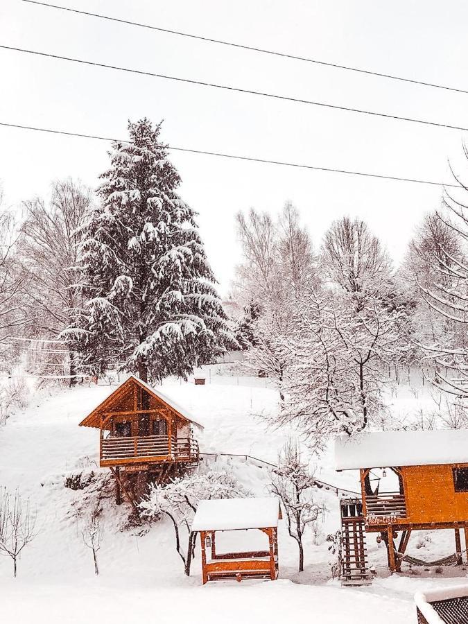 Domeniul Horj Casa Din Deal Мойсей Экстерьер фото